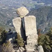 フクスケ29の画像