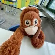 ゾロ目出品(※プロフ必読！！)の画像