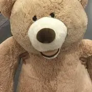 たべっこどうぶつの画像