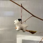 ゆえの画像
