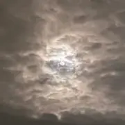 senの画像