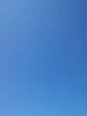 めめの画像