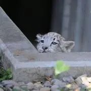 るいの画像