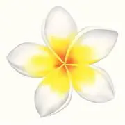 ALOHAの画像