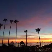 CALIFORNIA101の画像