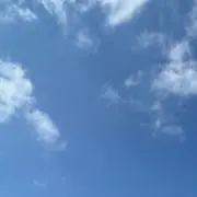 mi