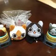 どむ