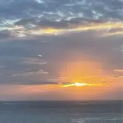 ぐらたんの画像
