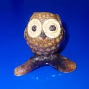 フクロウの画像
