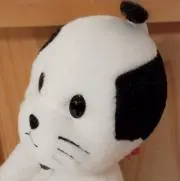 にゃんまげの画像