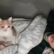 4242564の画像