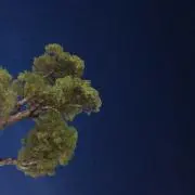 井之