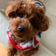 もふもふ母さん