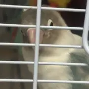 部屋片付けたいの画像