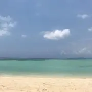 やすの画像