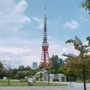 cocoの画像