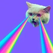 さや