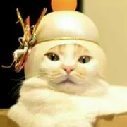 おさる　もんきち