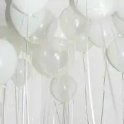 ぷりんの画像