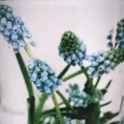 mocoの画像