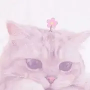 Rの画像