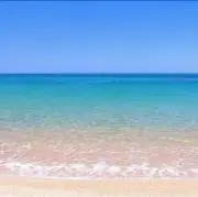 t.u.の画像