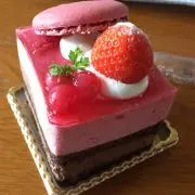 わたるの画像