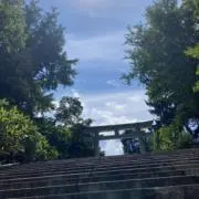 ねこすの画像