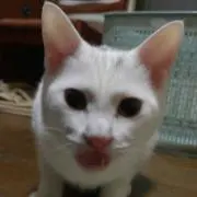 ryunosuke