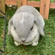 虹（断捨離)の画像
