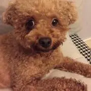 おぐら※10/10-13発送不可の画像