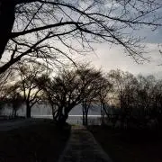 ktの画像