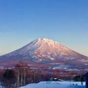 バンブーの画像