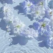 ちなつの画像