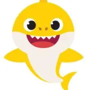 baby sharkの画像