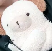 ぴょんの画像