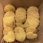 ソーの画像