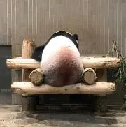 まぁちゃんの画像