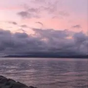 AIの画像