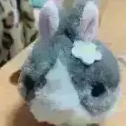 もけ☆。.:＊・゜の画像