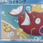 Richaの画像