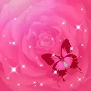 みゆの画像
