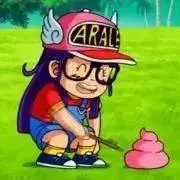 アラレの画像