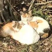 たっちゃんの画像
