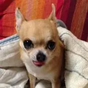 ナムエモン