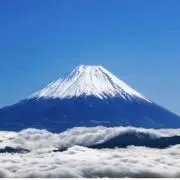 ゆらゆらの画像