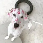 あい