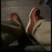 やすの画像