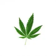 初代内閣大麻総理大臣
