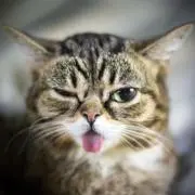 anの画像